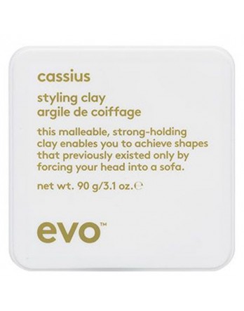 evo cassius styling clay 3.1oz